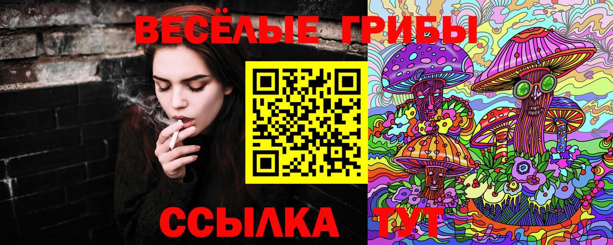 Торжок  Псилоцибиновые грибы ЛСД  купить  сайты  Галлюциногенные грибы Cubensis  Вход с VPN 